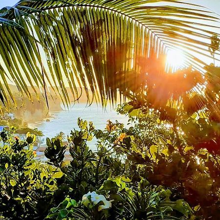 1 Coco Bambu Pipa Apto 1, A 200 M Da Praia E A 100 M Do Centro Da Cidade Praia de Pipa Εξωτερικό φωτογραφία